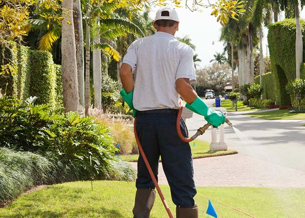 About Points WV Pest Control